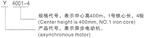 西安泰富西玛Y系列(H355-1000)高压JR116-10三相异步电机型号说明