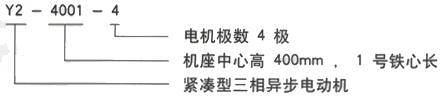 YR系列(H355-1000)高压JR116-10三相异步电机西安西玛电机型号说明